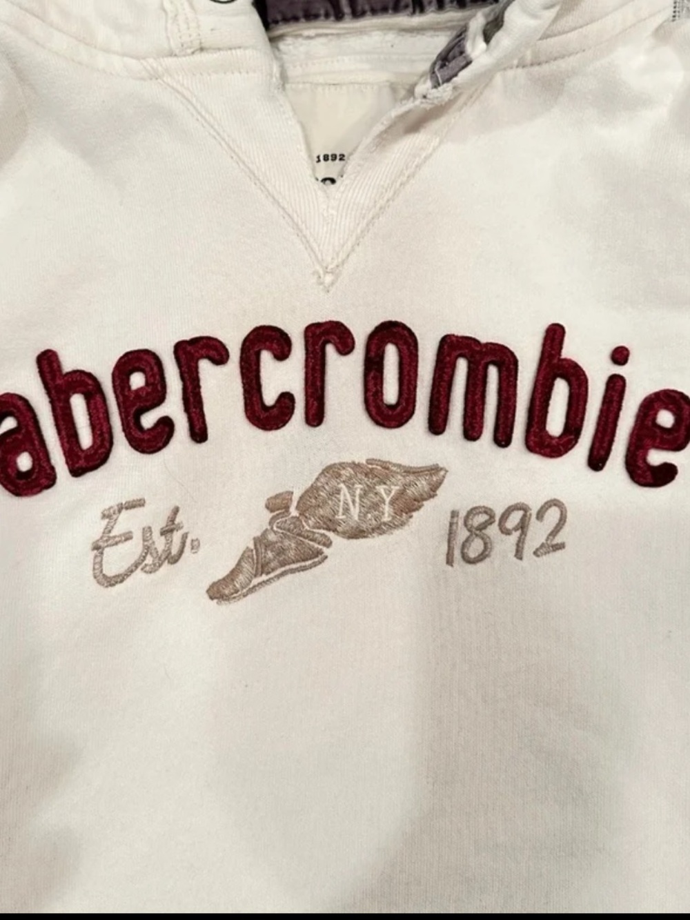 Abercrombie and Fitch Hooded Sweatshirt